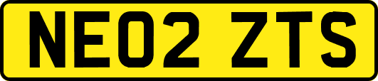 NE02ZTS