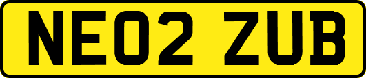 NE02ZUB