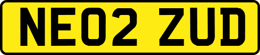 NE02ZUD