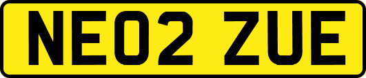 NE02ZUE