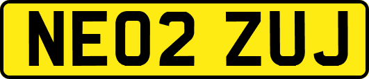 NE02ZUJ
