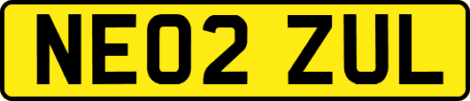 NE02ZUL