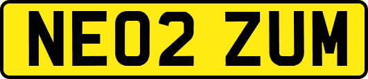 NE02ZUM