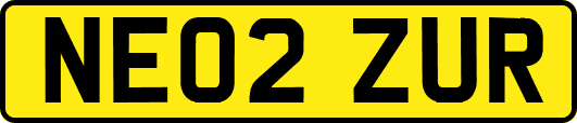 NE02ZUR
