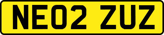 NE02ZUZ