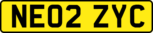 NE02ZYC
