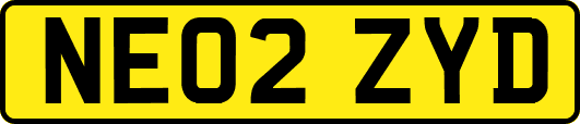 NE02ZYD