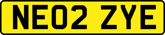 NE02ZYE