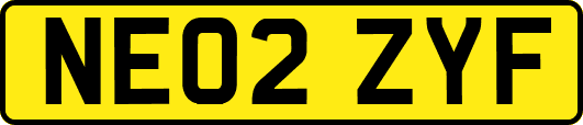 NE02ZYF