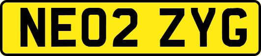 NE02ZYG