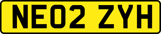 NE02ZYH