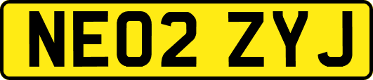 NE02ZYJ