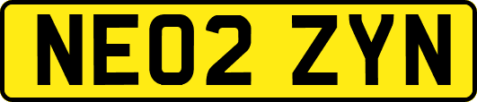 NE02ZYN