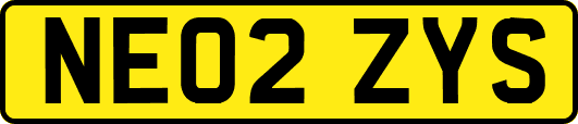 NE02ZYS