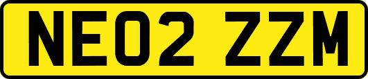 NE02ZZM