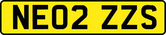 NE02ZZS