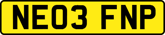 NE03FNP