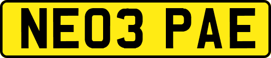 NE03PAE