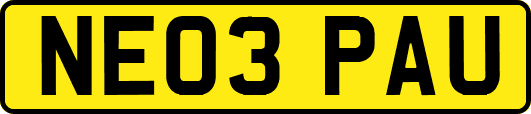 NE03PAU
