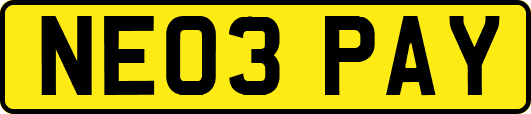 NE03PAY