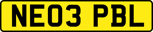 NE03PBL