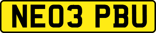 NE03PBU
