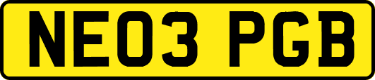 NE03PGB