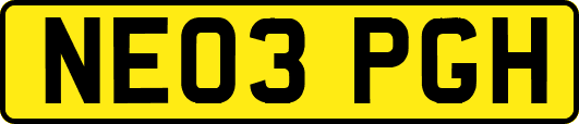 NE03PGH