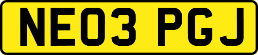 NE03PGJ