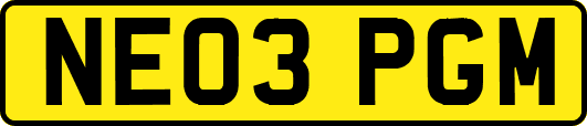 NE03PGM