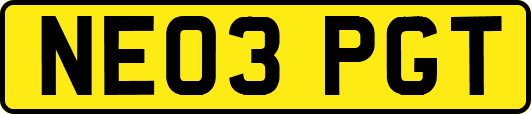 NE03PGT