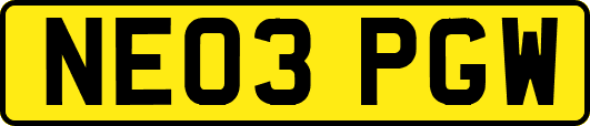 NE03PGW