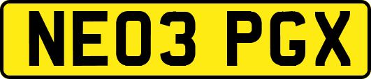 NE03PGX