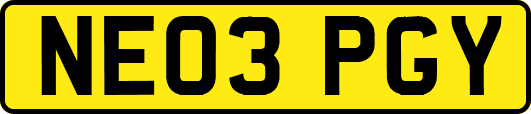 NE03PGY