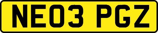 NE03PGZ