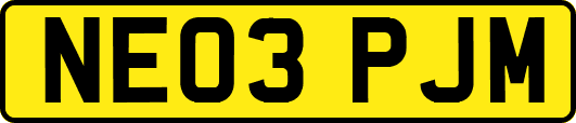 NE03PJM