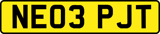 NE03PJT