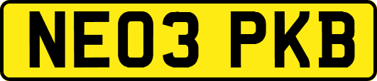 NE03PKB