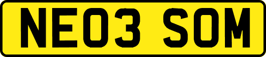 NE03SOM