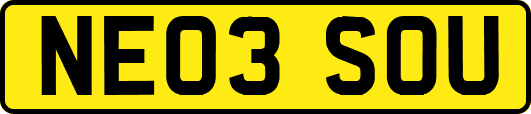 NE03SOU