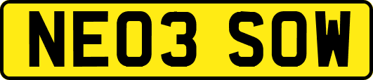 NE03SOW