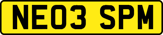 NE03SPM