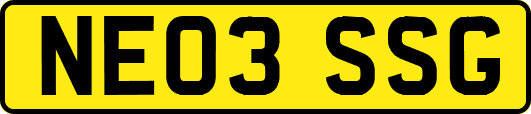 NE03SSG