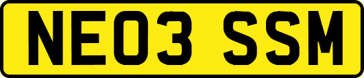 NE03SSM