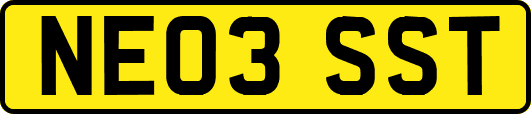NE03SST