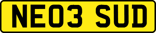 NE03SUD