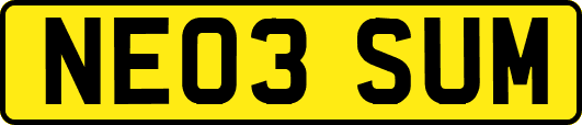 NE03SUM