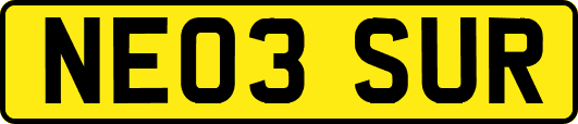 NE03SUR