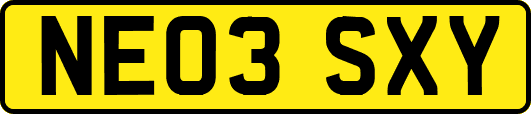 NE03SXY