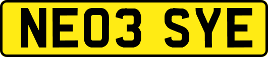 NE03SYE